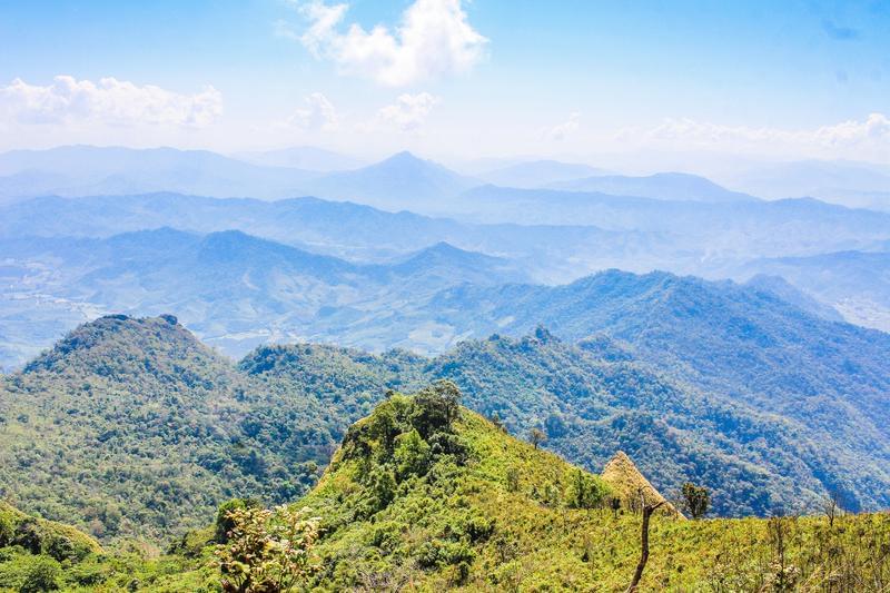 7 Best Outdoor Activities To Celebrate Spring