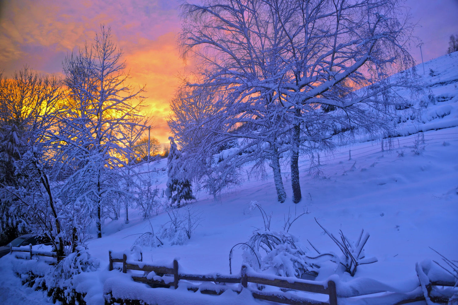 beautiful winter