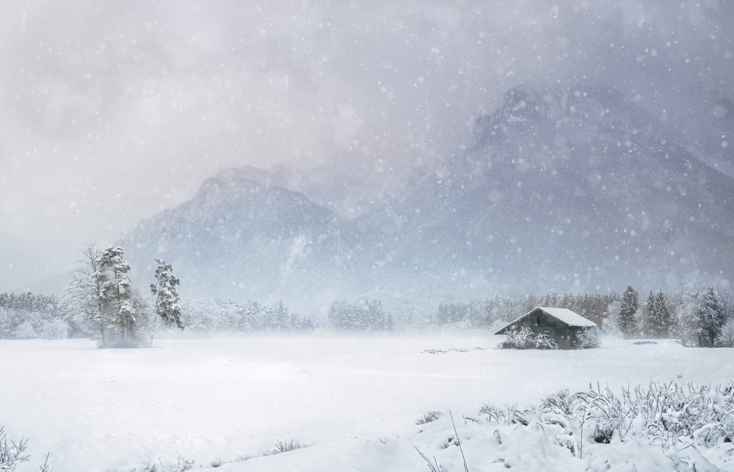 Winter Storm